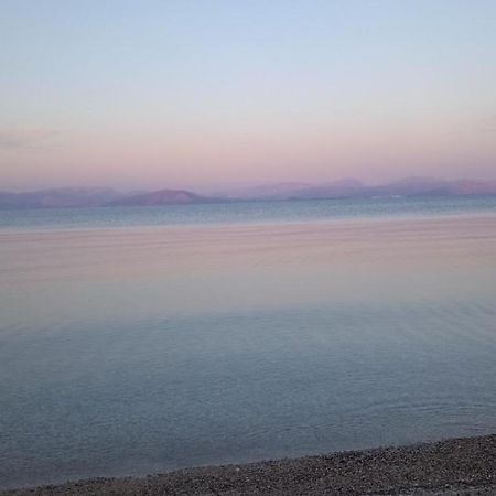 Lithino Apartments - 5Min From The Beach Agios Ioannis Peristeron  ภายนอก รูปภาพ