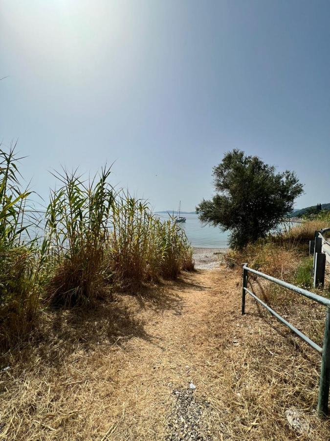 Lithino Apartments - 5Min From The Beach Agios Ioannis Peristeron  ภายนอก รูปภาพ