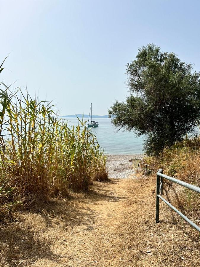 Lithino Apartments - 5Min From The Beach Agios Ioannis Peristeron  ภายนอก รูปภาพ