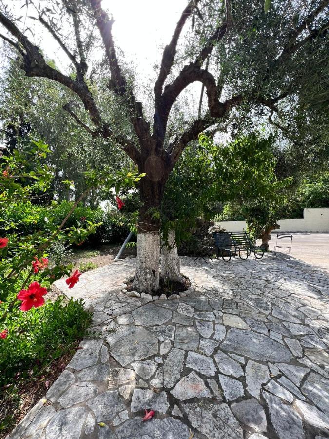Lithino Apartments - 5Min From The Beach Agios Ioannis Peristeron  ภายนอก รูปภาพ