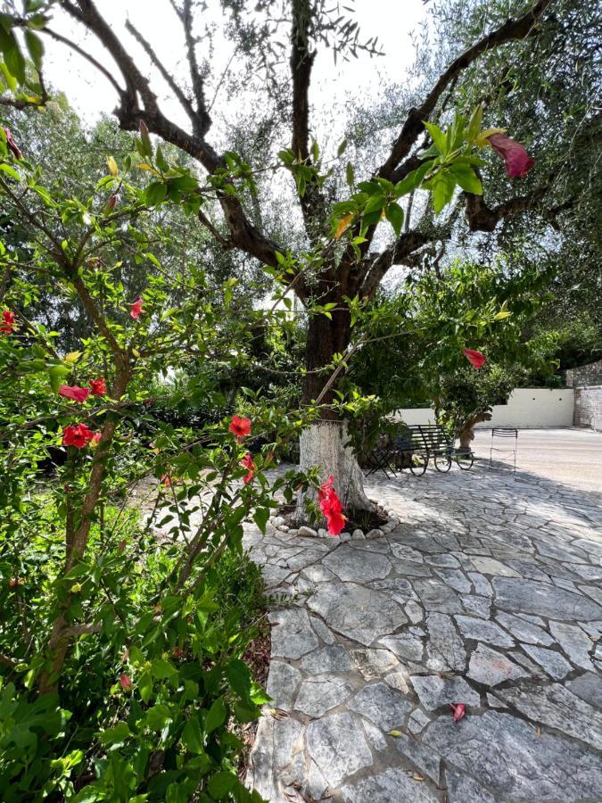 Lithino Apartments - 5Min From The Beach Agios Ioannis Peristeron  ภายนอก รูปภาพ